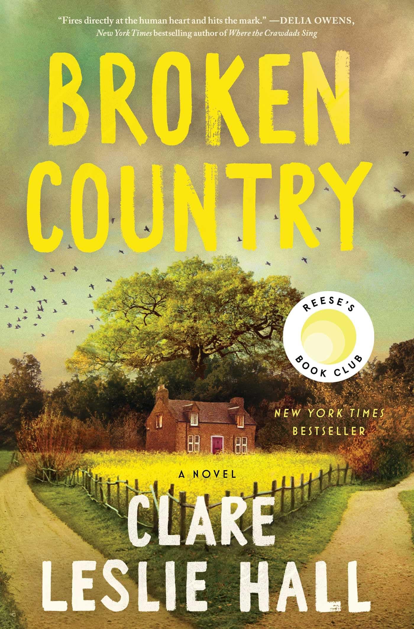 Book cover of Broken Country by Clare Leslie Hall