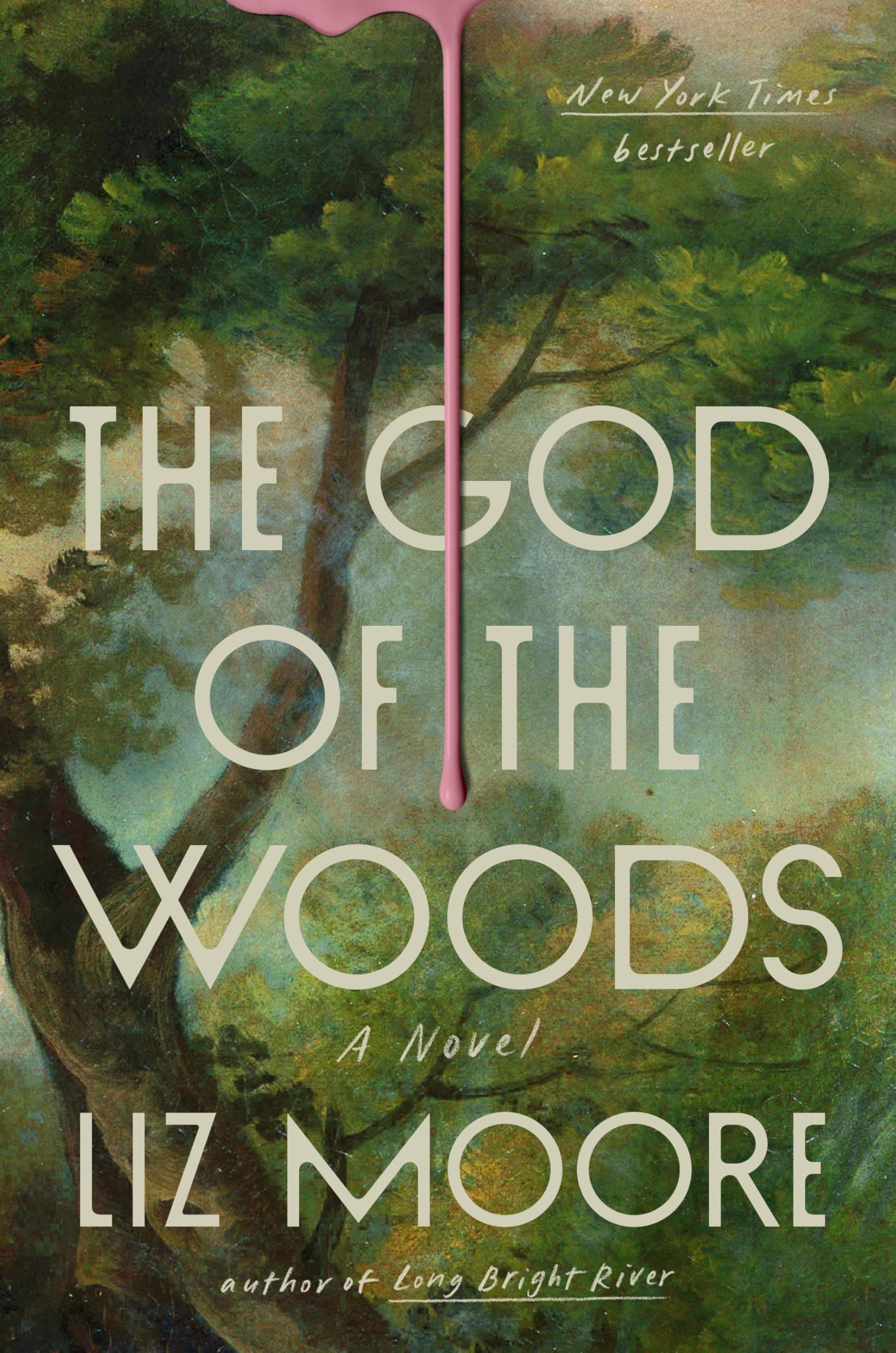 Book cover of The God of the Woods by Liz Moore