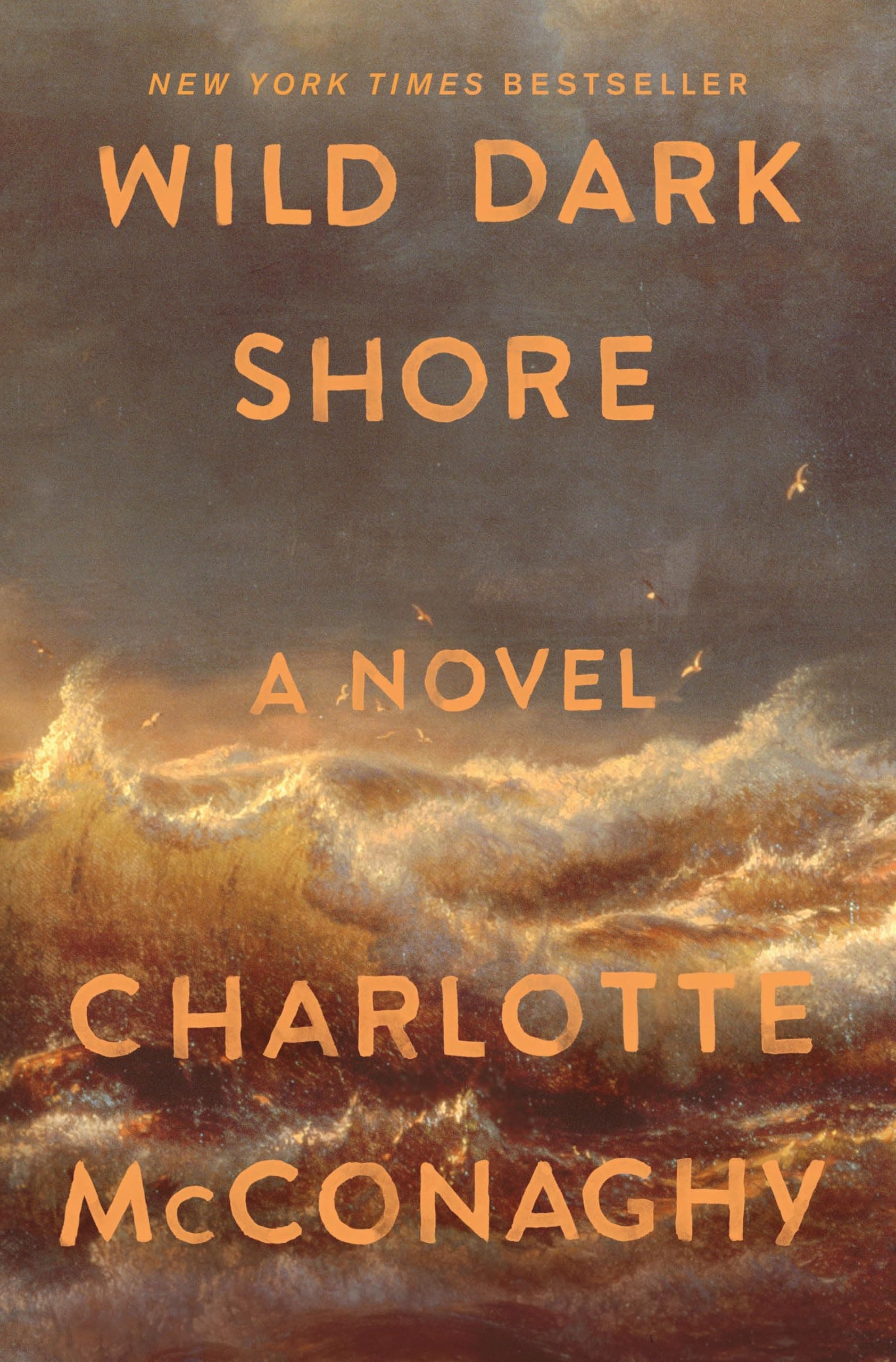 Cover of Wild Dark Shore: A Novel by Charlotte McConaghy