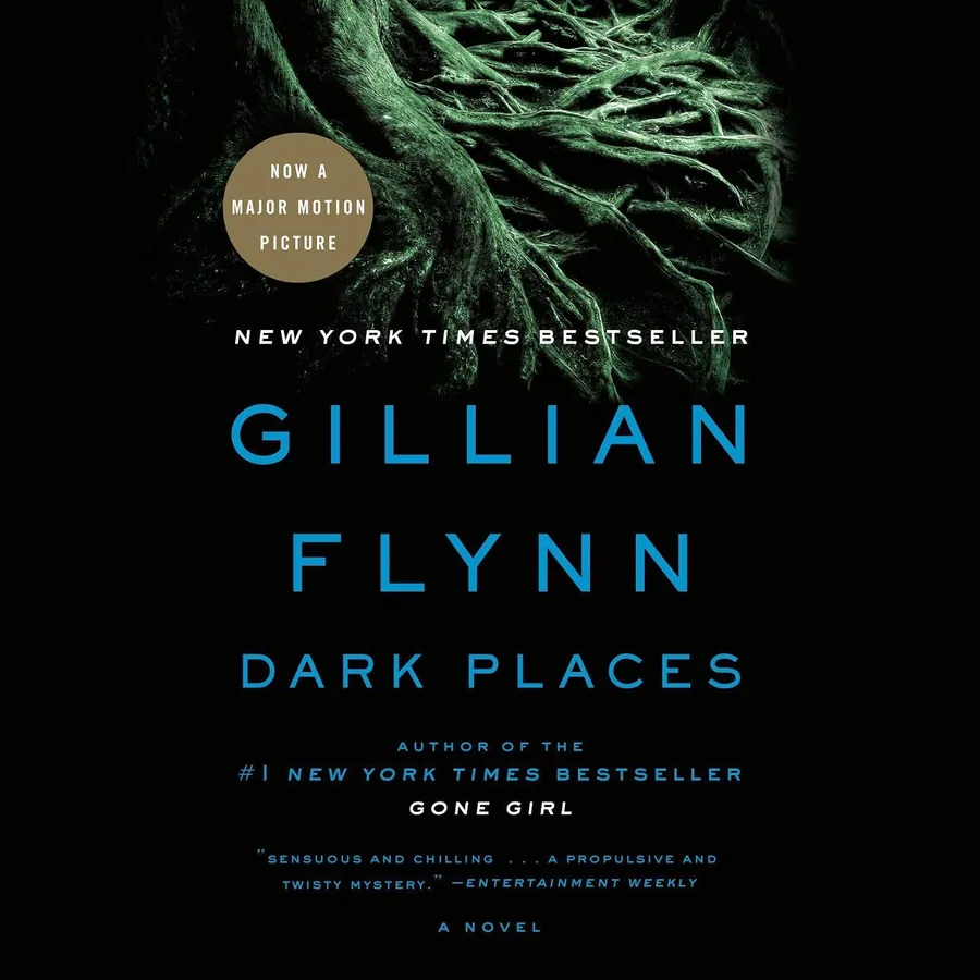 Dark Places by Gillian Flynn audiobook cover