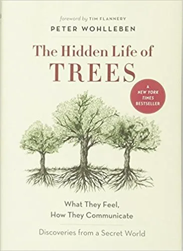 Cover of The Hidden Life of Trees: What They Feel, How They Communicate by Peter Wohlleben