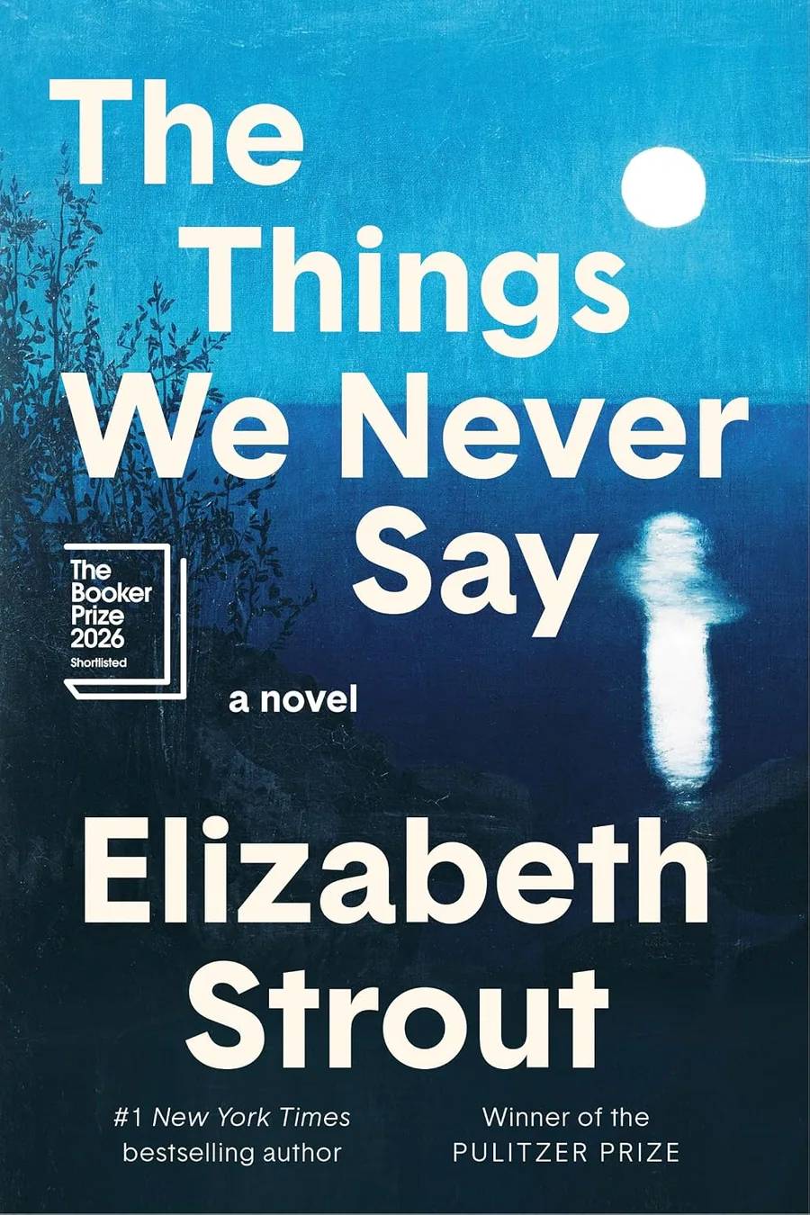 Cover of The Things We Never Say by Elizabeth Strout